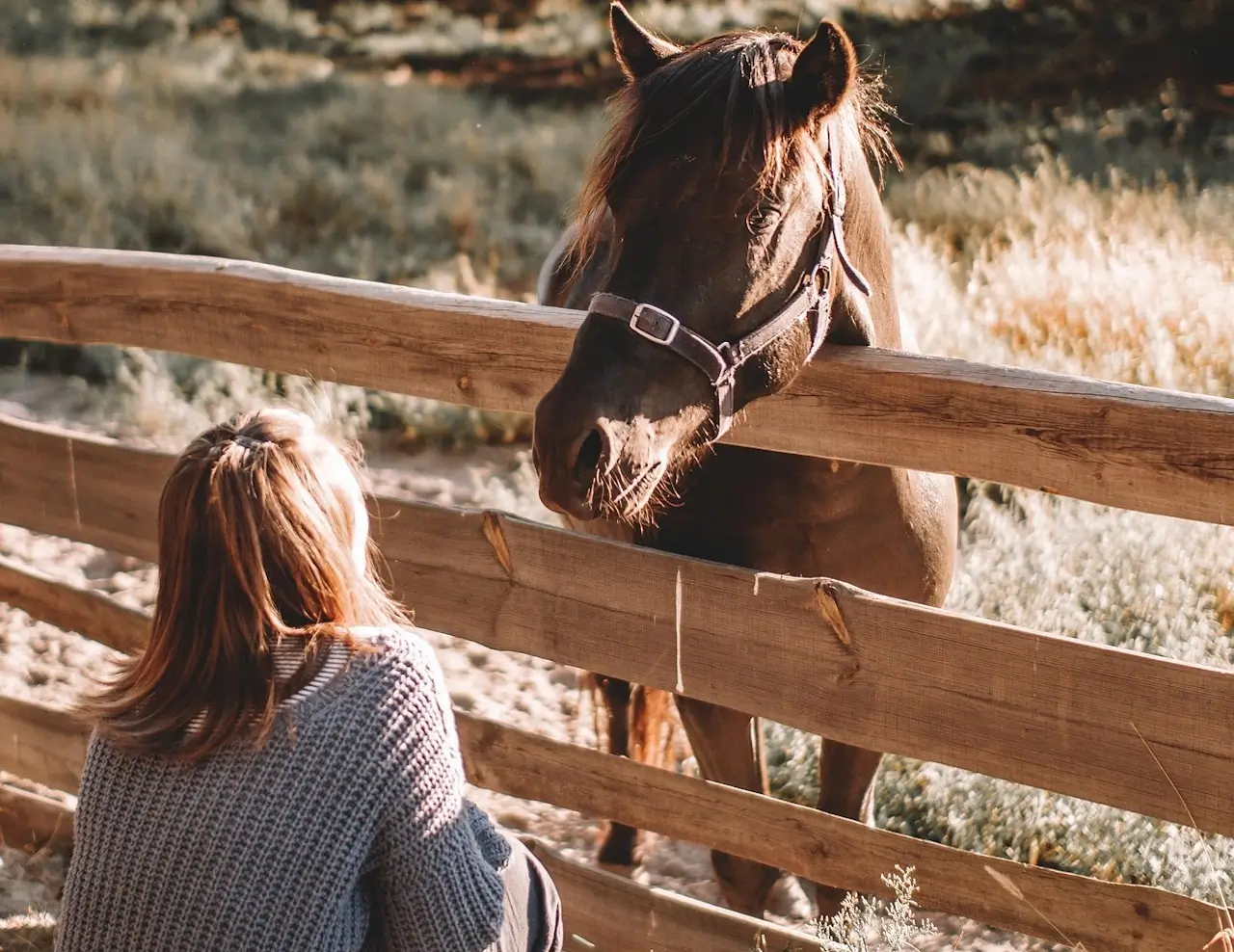 A young person working with a horse during a therapeutic equine session